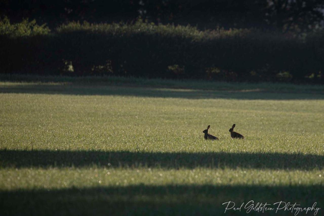 Готель Carrick'S At Castle Farm Swanton Morley Екстер'єр фото